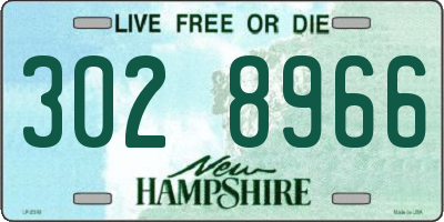NH license plate 3028966