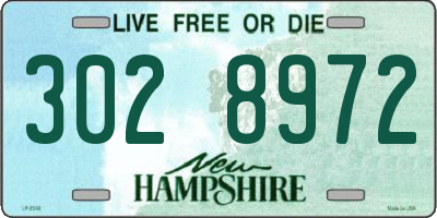 NH license plate 3028972