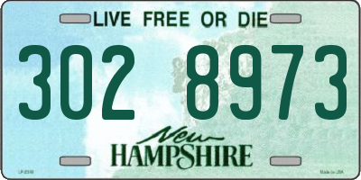 NH license plate 3028973