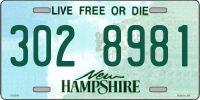 NH license plate 3028981