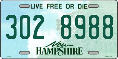NH license plate 3028988