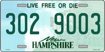 NH license plate 3029003