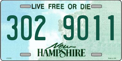 NH license plate 3029011