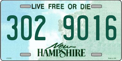 NH license plate 3029016