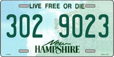 NH license plate 3029023