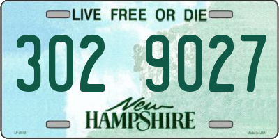 NH license plate 3029027
