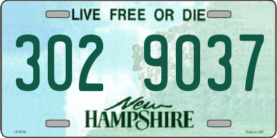 NH license plate 3029037