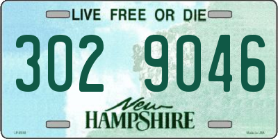 NH license plate 3029046
