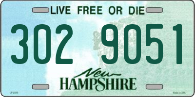 NH license plate 3029051