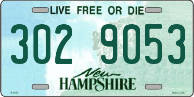 NH license plate 3029053