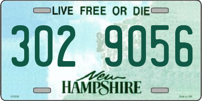 NH license plate 3029056