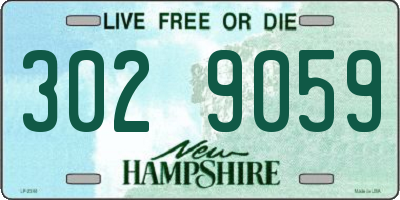 NH license plate 3029059