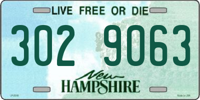 NH license plate 3029063