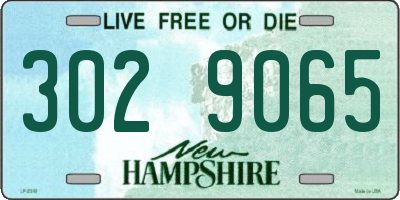 NH license plate 3029065