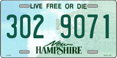 NH license plate 3029071