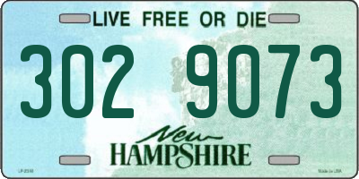NH license plate 3029073