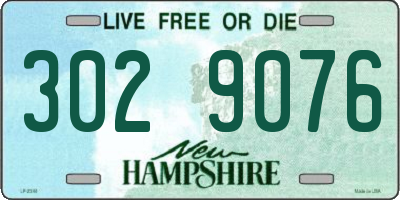NH license plate 3029076