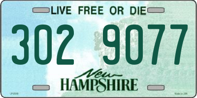 NH license plate 3029077