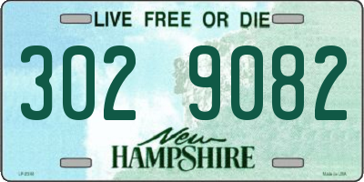 NH license plate 3029082