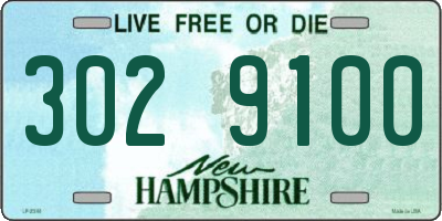 NH license plate 3029100