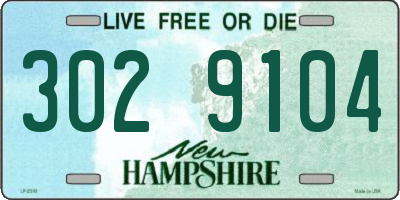 NH license plate 3029104