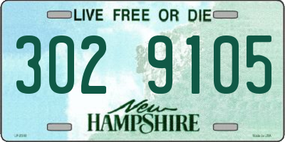 NH license plate 3029105