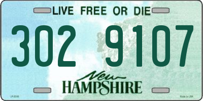 NH license plate 3029107