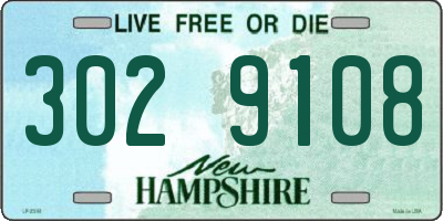 NH license plate 3029108