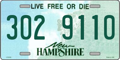 NH license plate 3029110