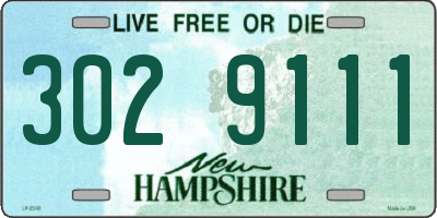 NH license plate 3029111