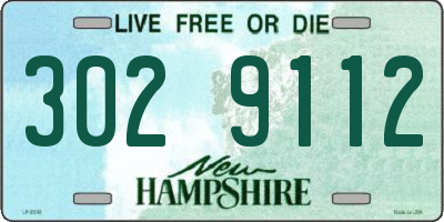 NH license plate 3029112