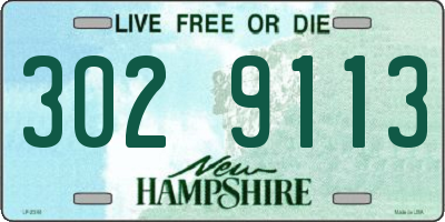NH license plate 3029113