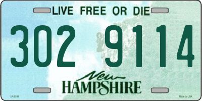 NH license plate 3029114