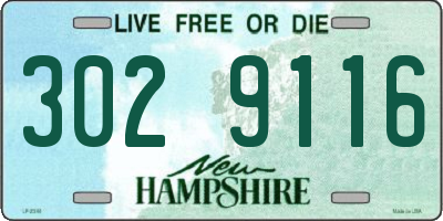 NH license plate 3029116