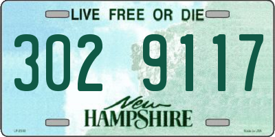 NH license plate 3029117