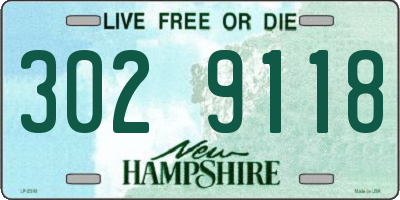 NH license plate 3029118