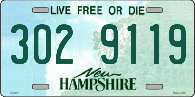 NH license plate 3029119