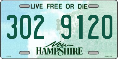 NH license plate 3029120