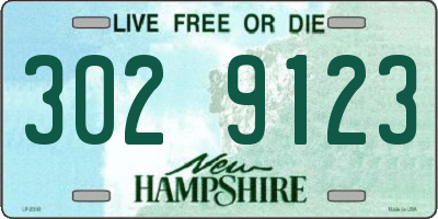 NH license plate 3029123