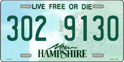 NH license plate 3029130