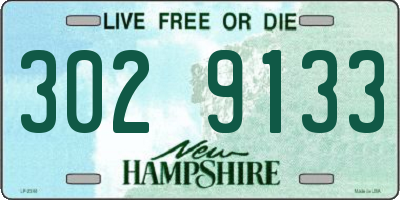 NH license plate 3029133