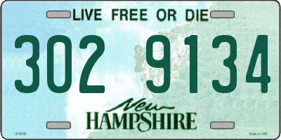 NH license plate 3029134
