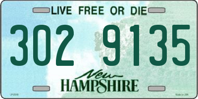NH license plate 3029135