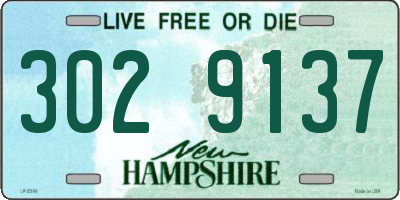 NH license plate 3029137