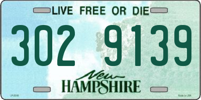 NH license plate 3029139
