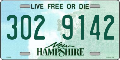 NH license plate 3029142