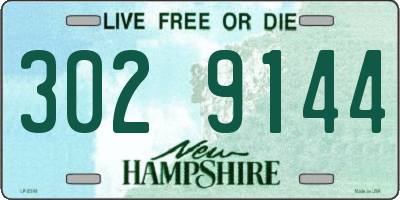 NH license plate 3029144