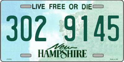 NH license plate 3029145