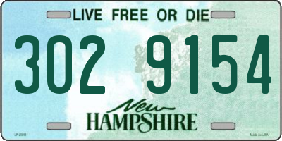 NH license plate 3029154