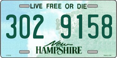 NH license plate 3029158